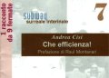 cisi efficienza